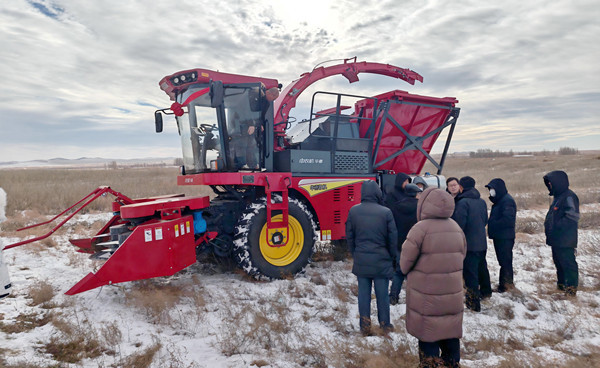 標(biāo)題：中央財(cái)政林草科技推廣項(xiàng)目設(shè)備交付 檸條收獲機(jī)落地賦能沙地生態(tài)治理
瀏覽次數(shù)：651
發(fā)表時(shí)間：2025-12-12